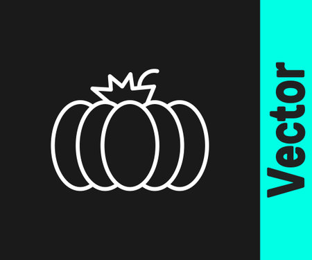 White line Pumpkin icon isolated on black background. Happy Halloween party. Vectorのイラスト素材