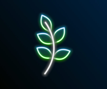 Glowing neon line Willow leaf icon isolated on black background. Colorful outline concept. Vectorのイラスト素材