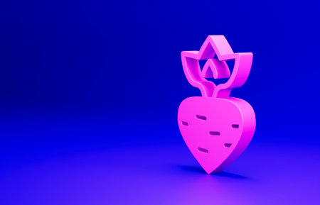 Pink Turnip icon isolated on blue background. Minimalism concept. 3D render illustrationの写真素材