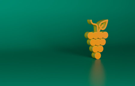 Orange Bunch of grapes icon isolated on green background. Minimalism concept. 3D render illustrationの写真素材