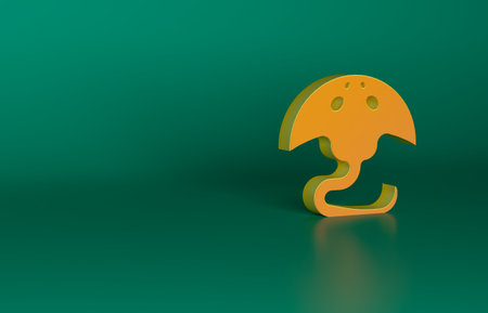 Orange Stingray icon isolated on green background. Minimalism concept. 3D render illustrationの写真素材