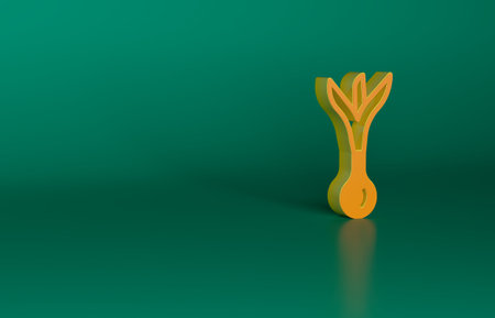 Orange Onion icon isolated on green background. Minimalism concept. 3D render illustrationの写真素材