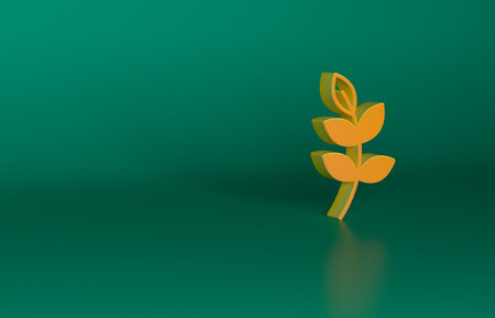Orange Willow leaf icon isolated on green background. Minimalism concept. 3D render illustrationの写真素材