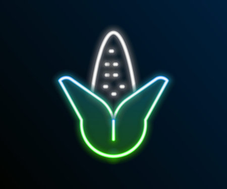 Glowing neon line Corn icon isolated on black background. Colorful outline concept. Vectorのイラスト素材