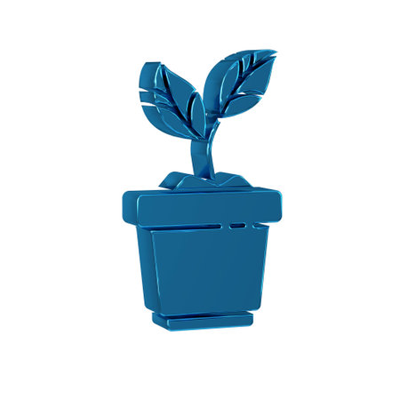 Blue Plant in pot icon isolated on transparent background. Plant growing in a pot. Potted plant sign.の写真素材