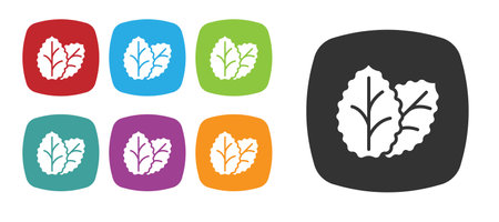 Black Tobacco leaf icon isolated on white background. Tobacco leaves. Set icons colorful. Vectorのイラスト素材