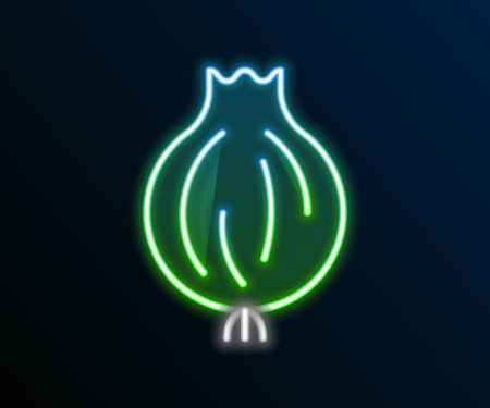 Glowing neon line Garlic icon isolated on black background. Colorful outline concept. Vector.のイラスト素材
