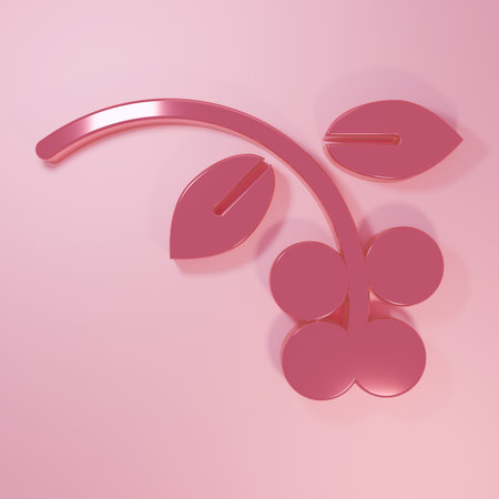 Pink Coffee bean, branch with leaf and berry icon isolated on pink background. Plant with leaf, berry, fruit, seed. Minimalism concept. 3D render illustration.の写真素材