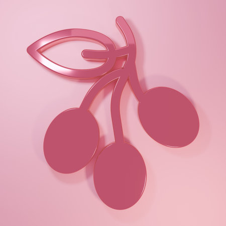 Pink Olives branch icon isolated on pink background. Minimalism concept. 3D render illustration.の写真素材