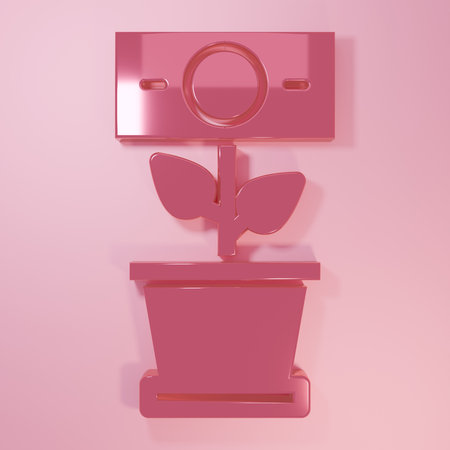 Pink Money plant in the pot icon isolated on pink background. Business investment growth concept. Money savings and investment. Minimalism concept. 3D render illustration.の写真素材