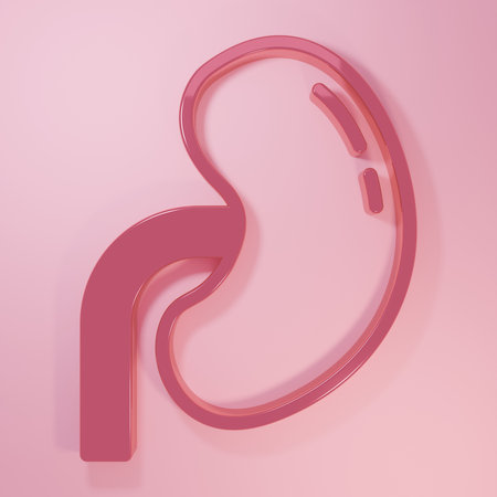 Pink Human kidney icon isolated on pink background. Minimalism concept. 3D render illustration.の写真素材