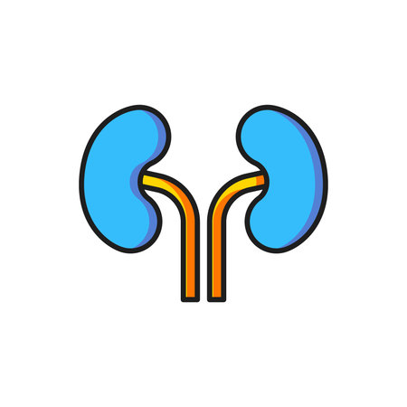 Color Human kidneys icon isolated on white background. Flat filled outline style with shadow. Vector.のイラスト素材