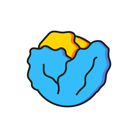 Color Fresh cabbage vegetable icon isolated on white background. Flat filled outline style with shadow. Vector.のイラスト素材