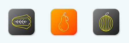 Set line Cabbage Pear and Watermelon icon. Vector.