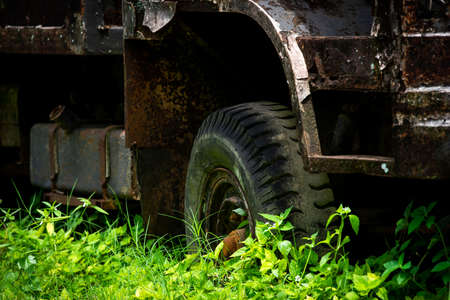 Dirty truck in the woods