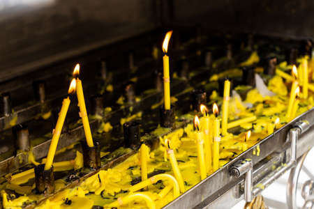 Yellow candle culture of thailandの写真素材
