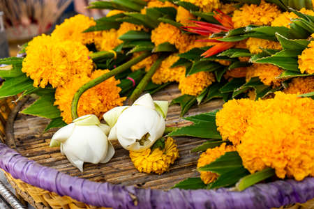 Marigold and lotus Culture of thailand