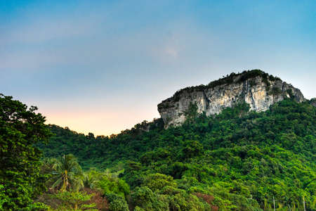 Mountain tops in the middle of the forest in the evening