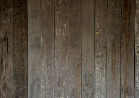 Wood you likeの写真素材