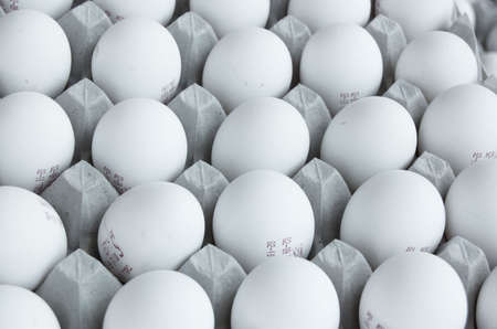 top view on a tray of eggs