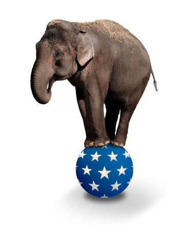 Domesticated Asian Elephant balancing on a Circus ball.の写真素材
