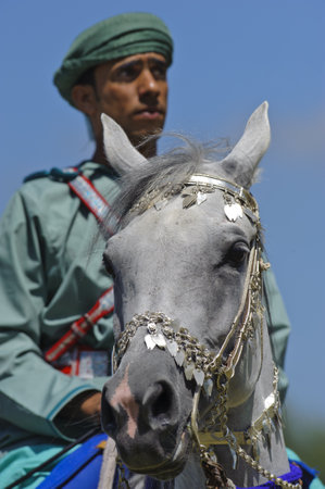 MUNICH, GERMANY - JUNE 4:  member of the arabian -Royal Cavalry of Oman- while a public show at the equestrian challenge -Pferd International 2011-, at June 4, 2011 in Munich, Germanyのeditorial素材