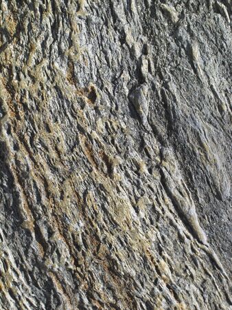 texture of stone as background