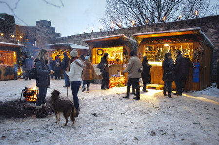 Romantic Christmas market with illuminated shops for gift and decoration on December 2, 2012 in Pappenheim, Bavaria, Germany のeditorial素材