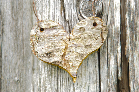 carved wooden heart on bark treeの写真素材