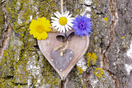 carved wooden heart on tree barkの写真素材