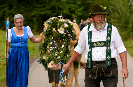 NESSELWANG, GERMANY - SEPTEMBER 16, 2015: The traditionally celebrated return of cattles with cowherds from mountain pasture to their cowshed in valley is an attraction for tourists and local peopleのeditorial素材