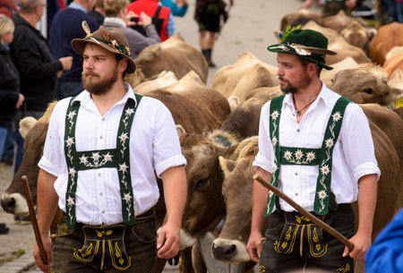 Nesselwang, Germany - September 16, 2015: The traditionally celebrated return of an herd of...
