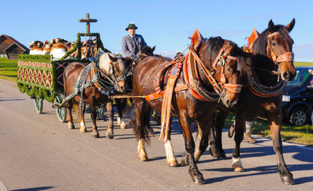 Murnau, Bavaria, Germany - November 6, 2015:  Every year at the memorial day of St. Leonhard a catholic procession takes place with many decorated horses, carriages and people in bavarian clothes.のeditorial素材