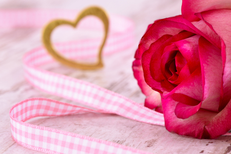 Valentines day in romance with rose and heart as symbol for loveの写真素材