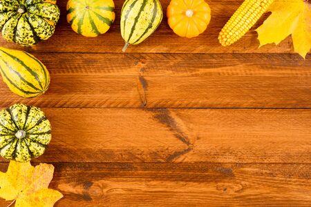 pumpkins as decoration for halloween and thanksgiving dayの写真素材