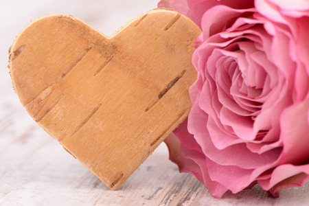 rose flower with heart as symbol for loveの写真素材