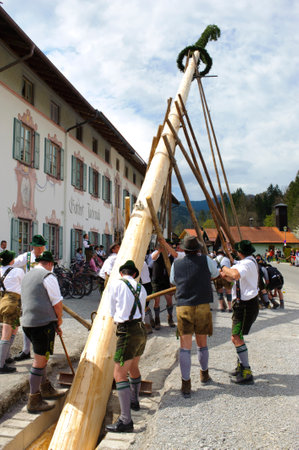 In many villages of Bavaria it is an historical customs to erect a high and decorated tree at 1. May by local men and with muscle power, clothed in traditional bavarian dress with short leather trousers and white shirts. After erecting the tree, men and wのeditorial素材