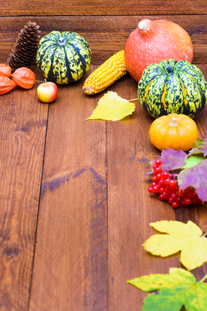 autumn decoration with pumpkin and leavesの写真素材