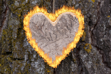 burning heart for loveの写真素材