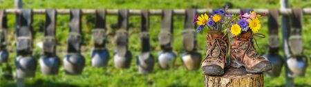 walking boots with beautiful flowers on trekking tour