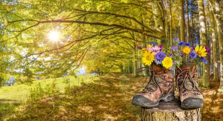 walking boots with beautiful flowers on trekking tourの写真素材