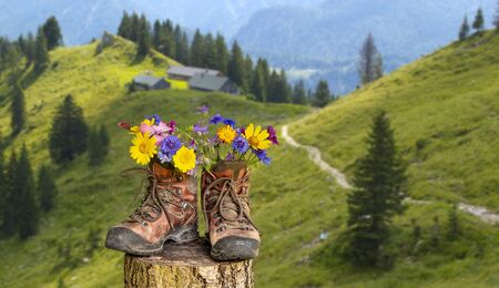 walking boots with beautiful flowers on trekking tourの写真素材