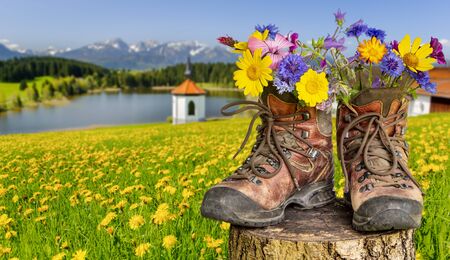 Walking shoes with flowers in a beautiful landscapeの写真素材