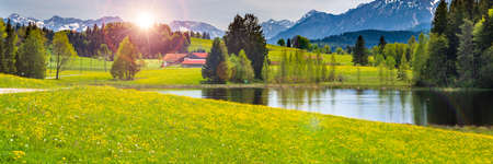 panoramic landscape in Bavaria with alps mountains and meadow at springtimeの写真素材
