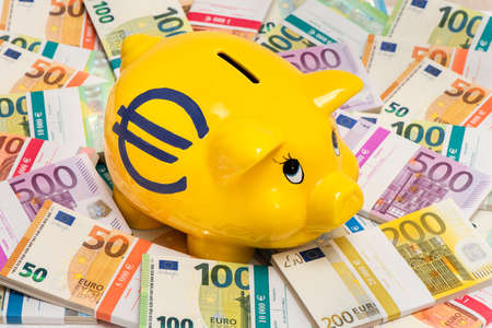 piggy bank and an heap of Euro banknotesの写真素材