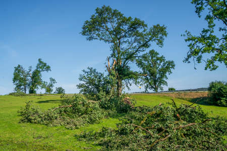 Hail, storm and heavy rain destroy treesの写真素材
