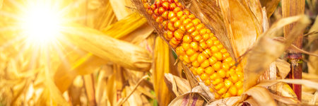 climate change with heat and dryness