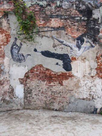 Georgetown, Penang, Malaysia - February 19, 2015: "The Real Bruce Lee Would Never Do This" street art on wall by Artists for Stray Animalsのeditorial素材