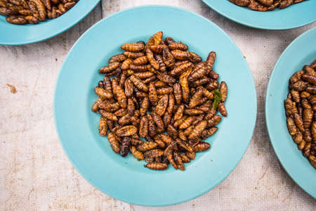 Asian fried insect, Laosの写真素材