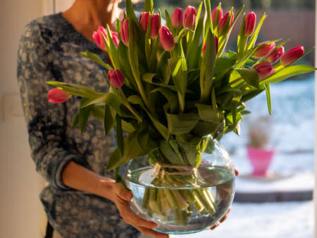 tulips bouquet in a glass vase in the hand of a happy womanの写真素材